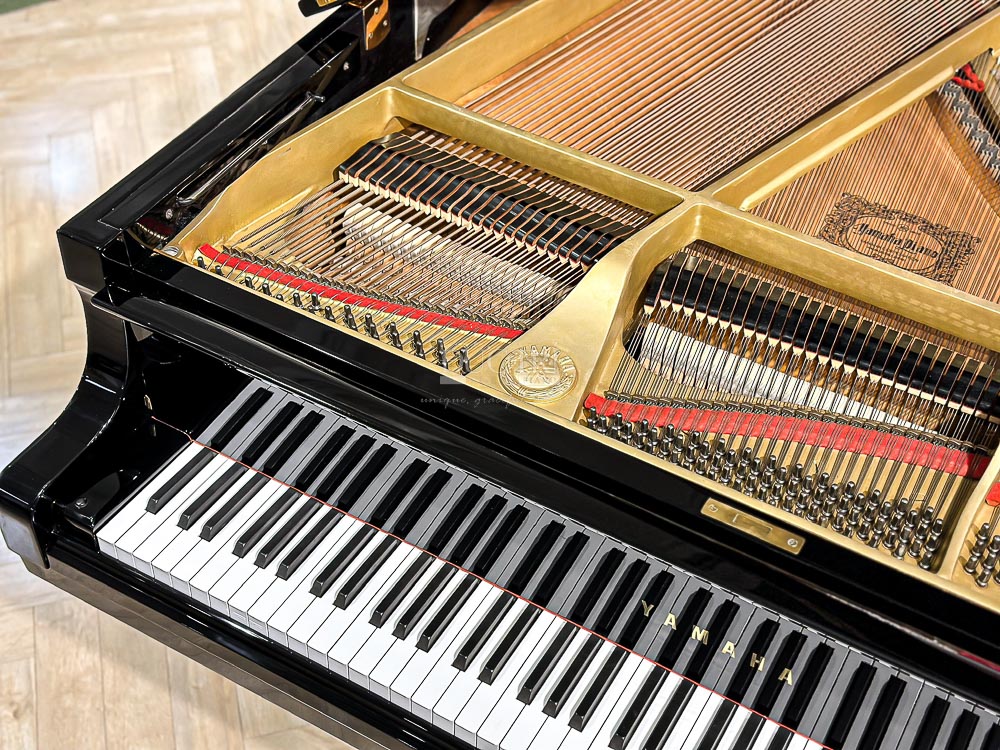 Dây đàn Yamaha C5E