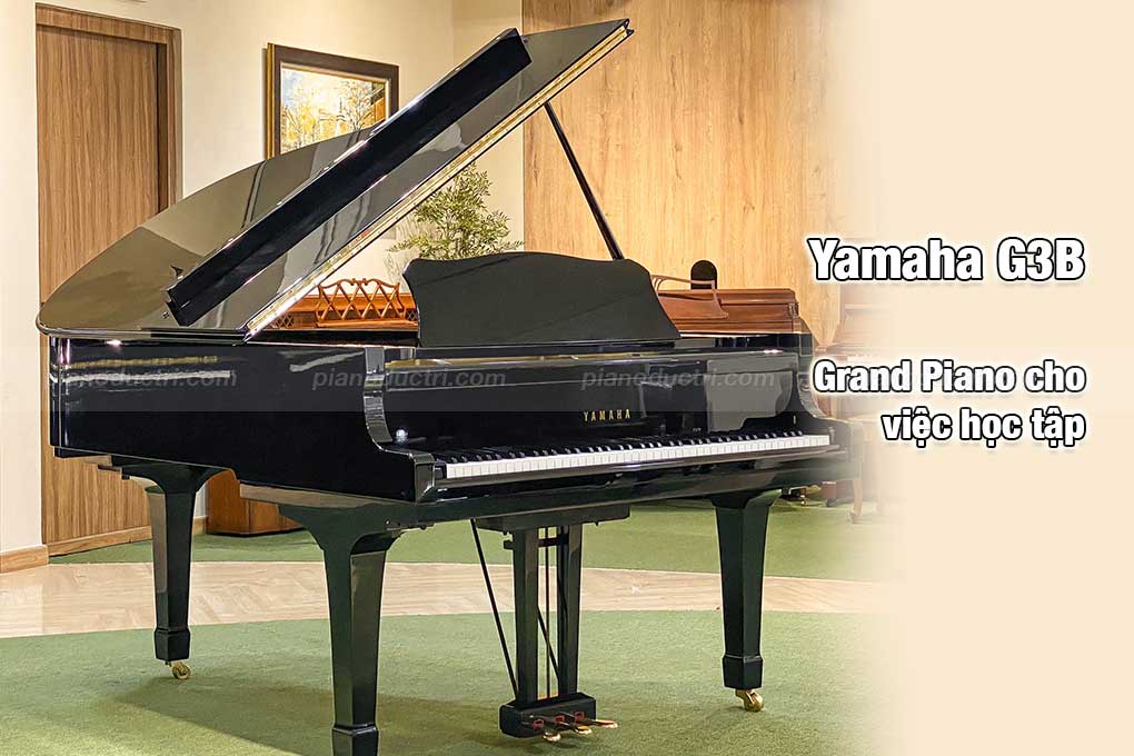 Vì sao nên mua đàn Yamaha G3D