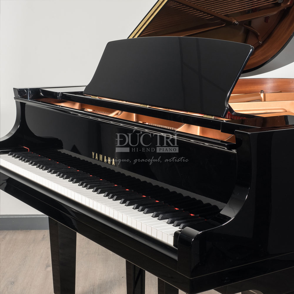 giá nhạc Yamaha C6X
