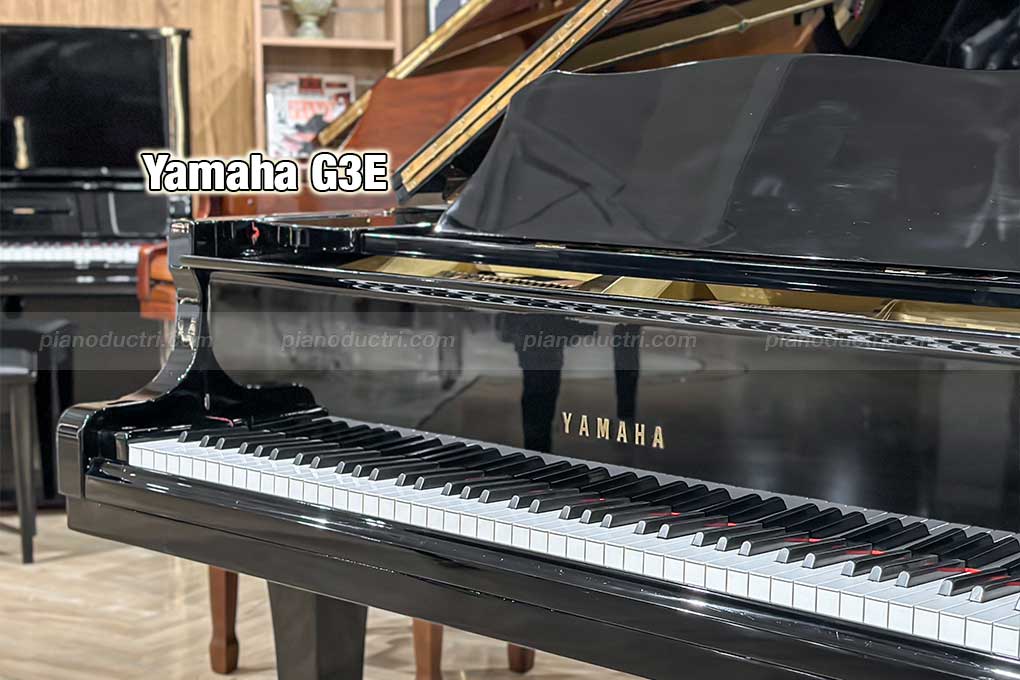 Phím đàn Yamaha G3E