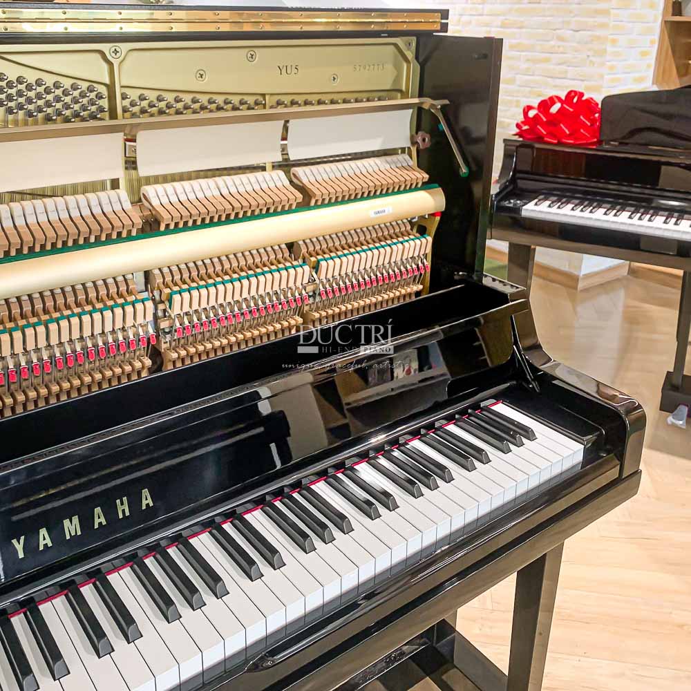BÚA ĐÀN YAMAHA YU5