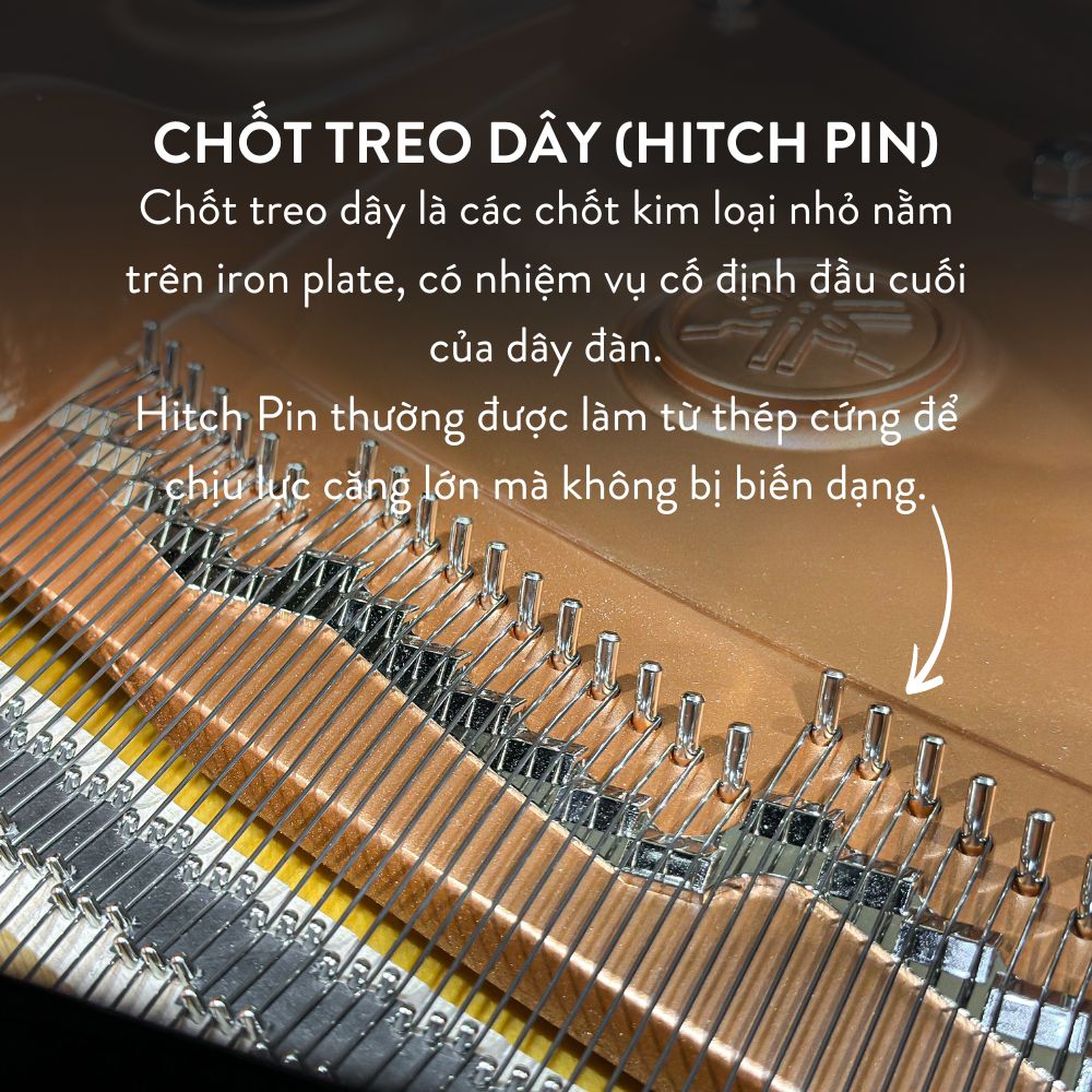 Đàn Grand Piano Yamaha C7X Cao Cấp tại Đức Trí Music