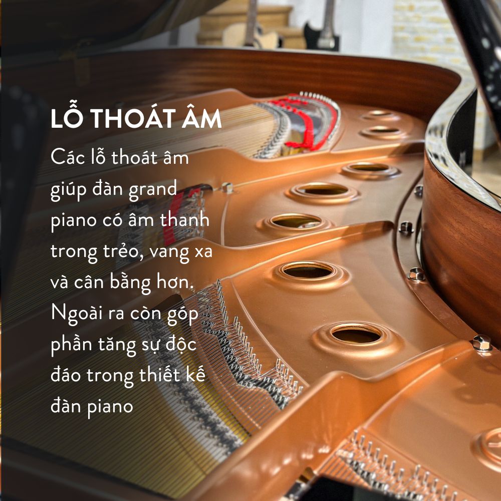 Đàn Grand Piano Yamaha C7X Cao Cấp tại Đức Trí Music