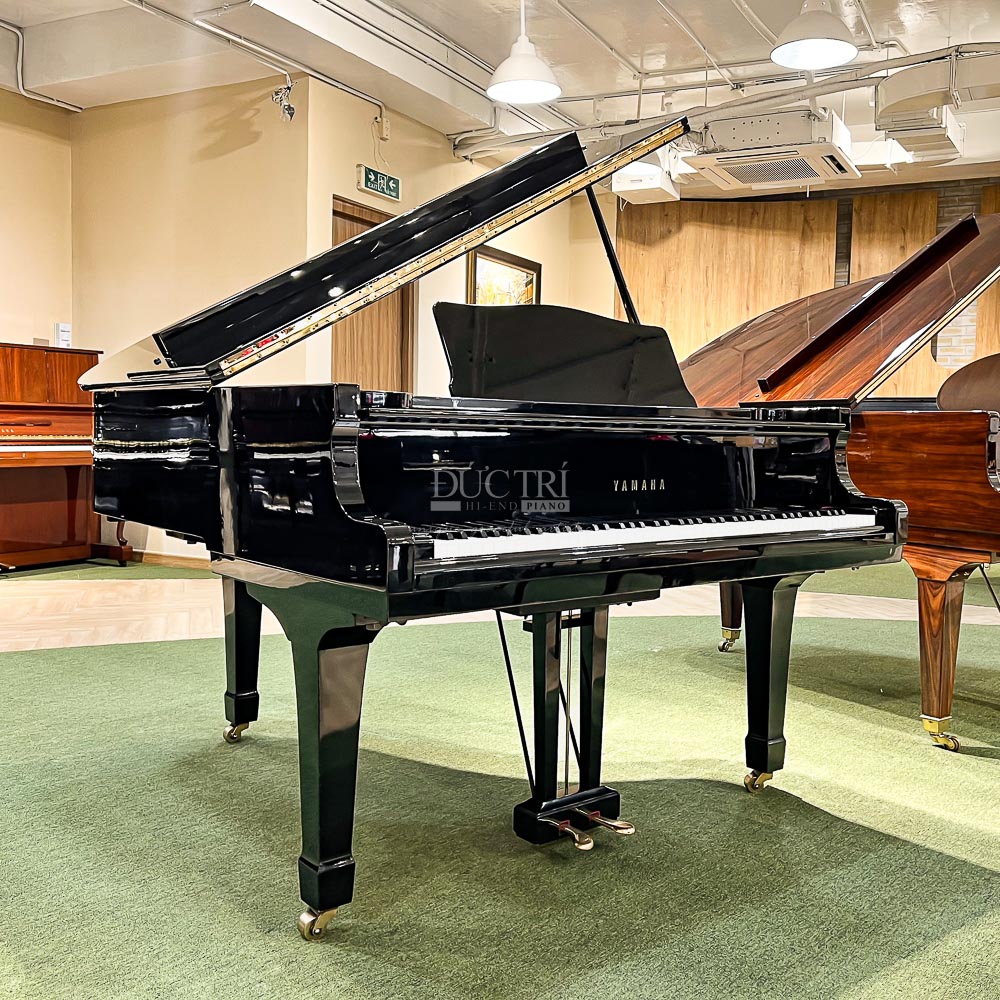 Yamaha G2E
