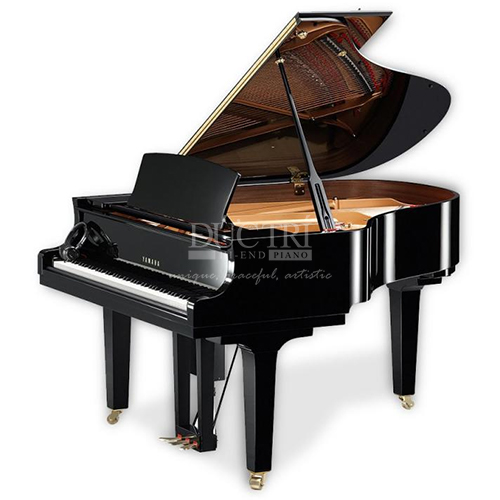 Yamaha GB1K
