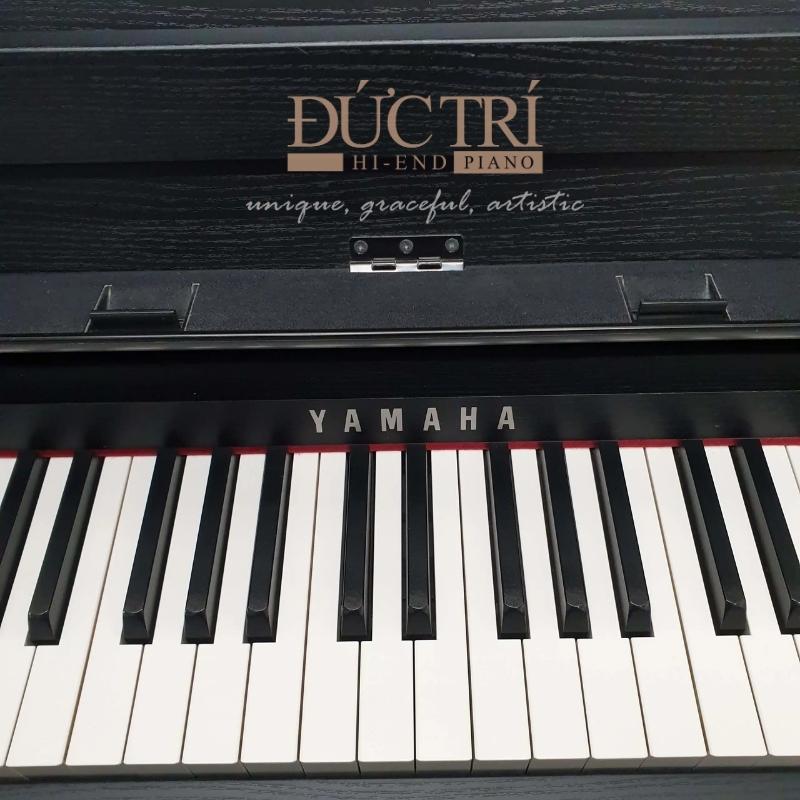 Yamaha CLP-785 6 Logo và bàn phím chiếc đàn Piano Yamaha CLP-785