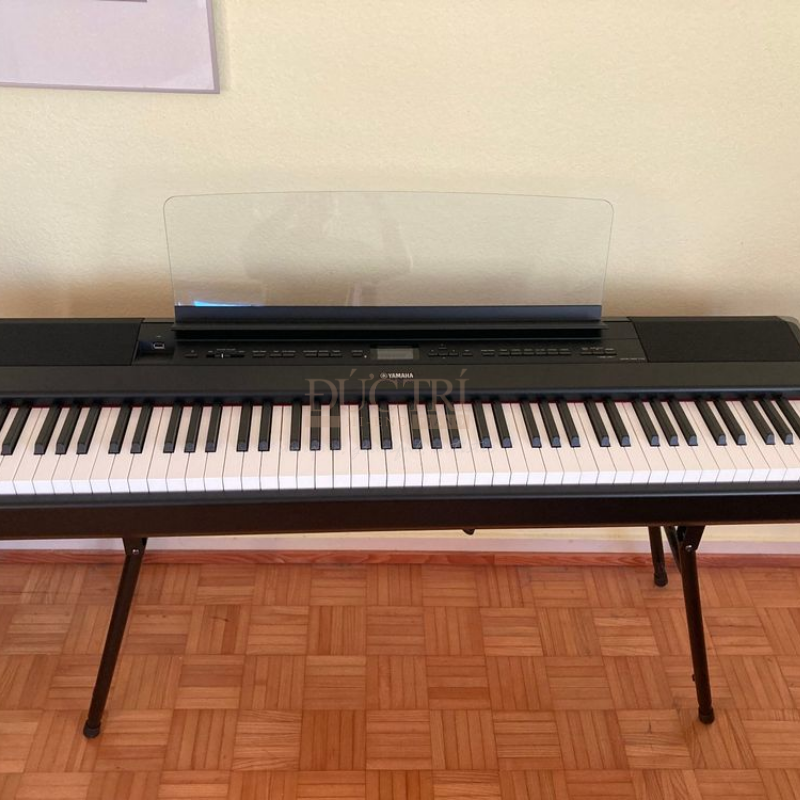 Yamaha P-515 10 Yamaha P-515 được bàn giao và trưng bày tại nhà của khách hàng