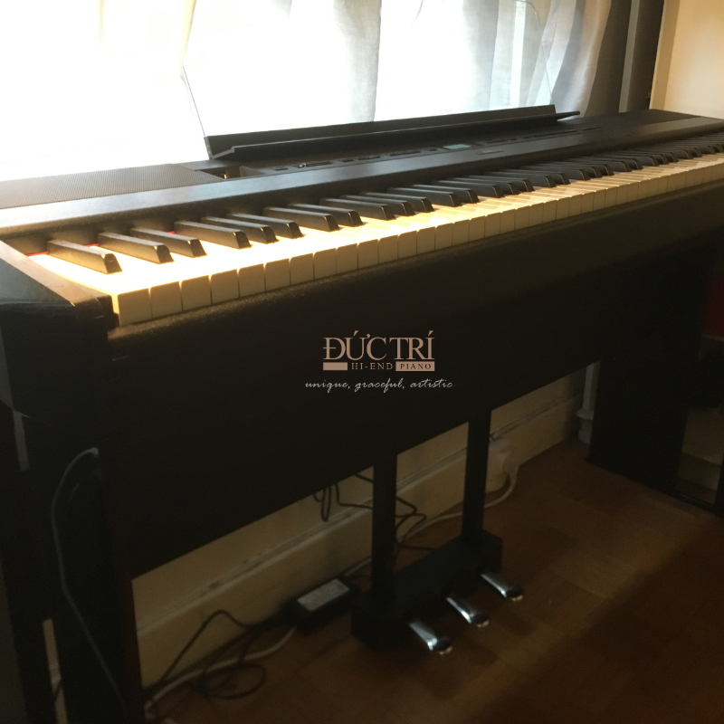 Yamaha P-515 9 Yamaha P-515 nhìn tổng quát