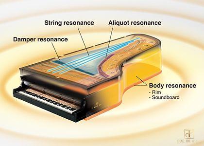 Âm thanh 2 piano - 2