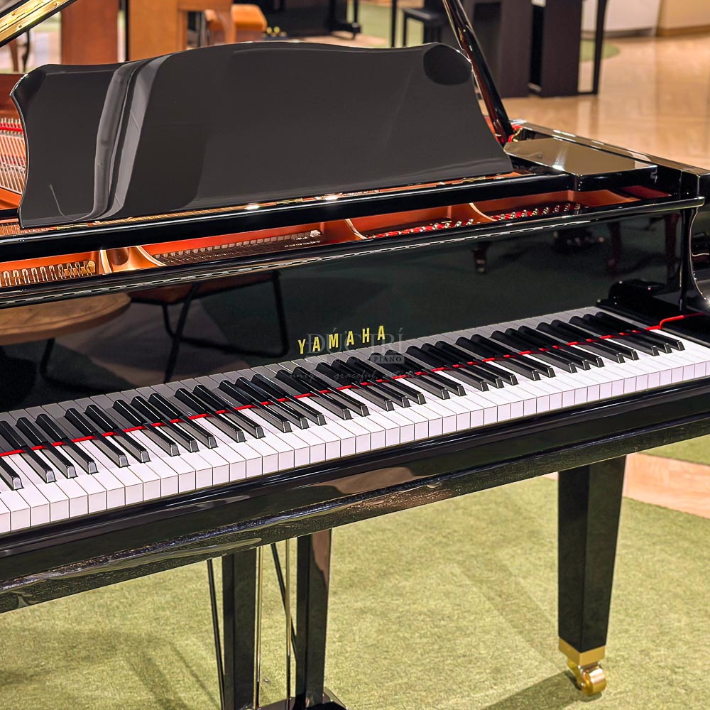 Phím đàn Yamaha GC1