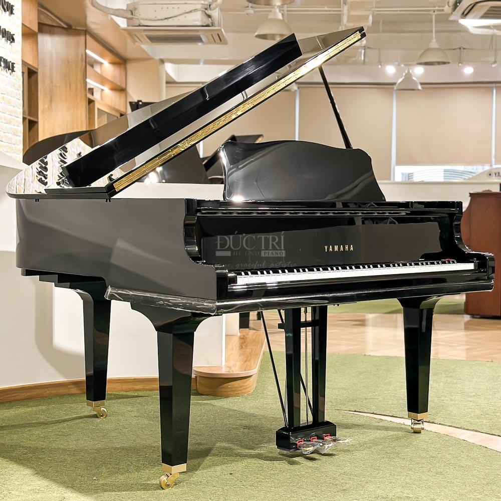 Yamaha GC1 PE
