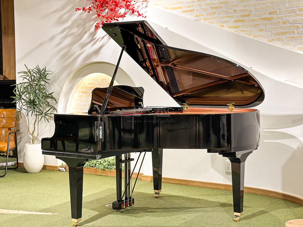 Hình ảnh chiếc Đàn Piano Cơ Yamaha GC1 Grand tại Showroom Piano Đức Trí