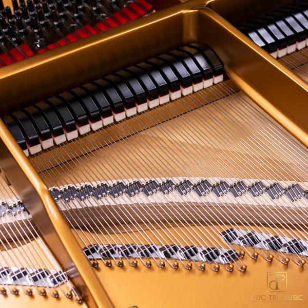 Steinway & Sons Louis XV Grand Piano 8 Đàn Piano Steinway & Sons Model D - Dumper đàn