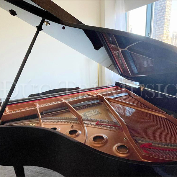yamaha GC1 PM
