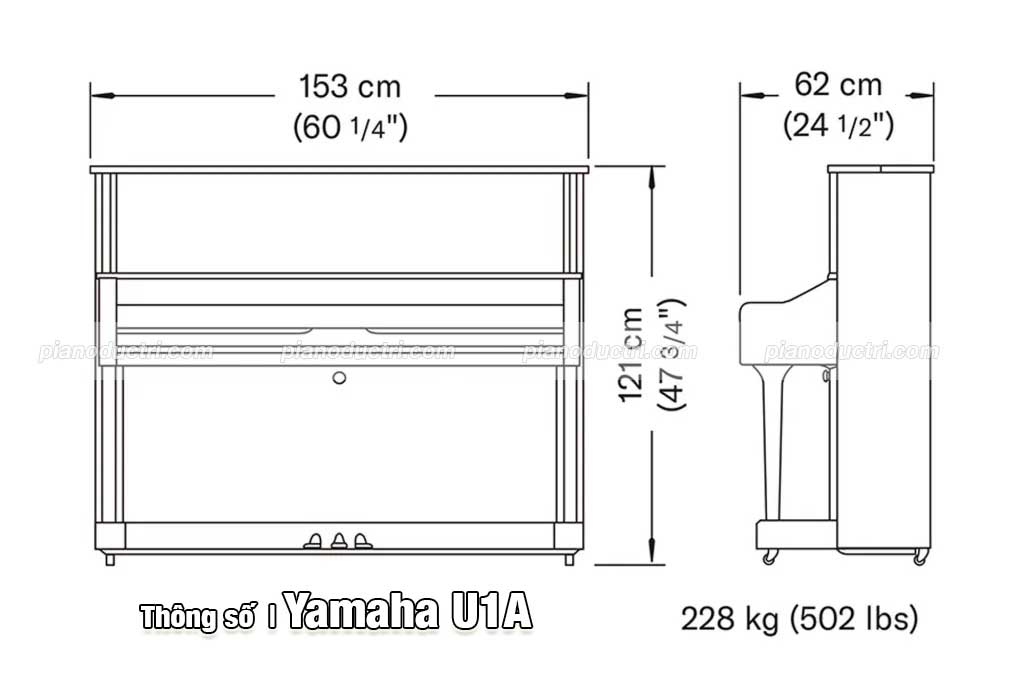 Thông số Yamaha U1A