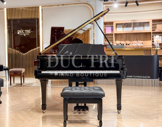 Yamaha C1L 1 Yamaha C1L màu đen tại Piano Đức Trí