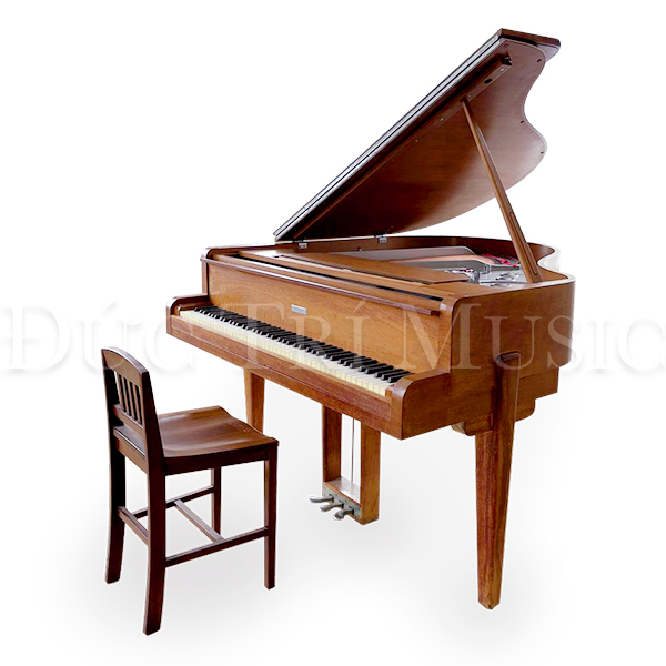 Steinway S-160 Walter Teague