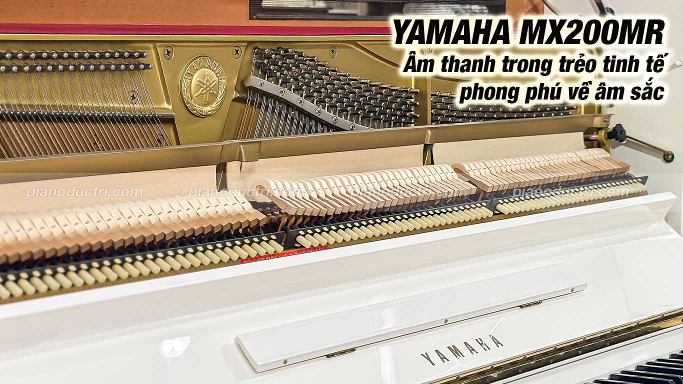 Đàn Piano Yamaha MX200MR tự động chơi tại Đức Trí Music