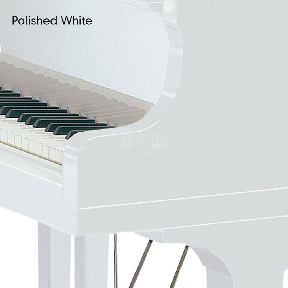 Màu Polished White