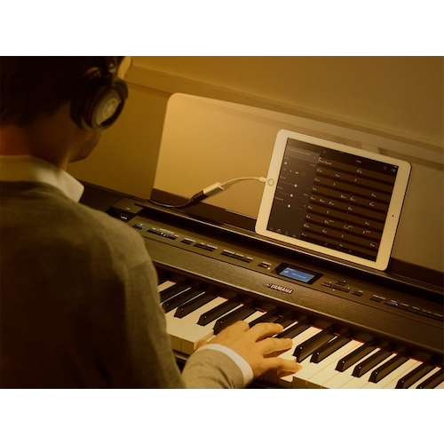 Yamaha P-515