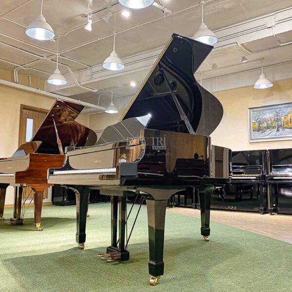 Ảnh đại diện đàn piano Yamaha C3