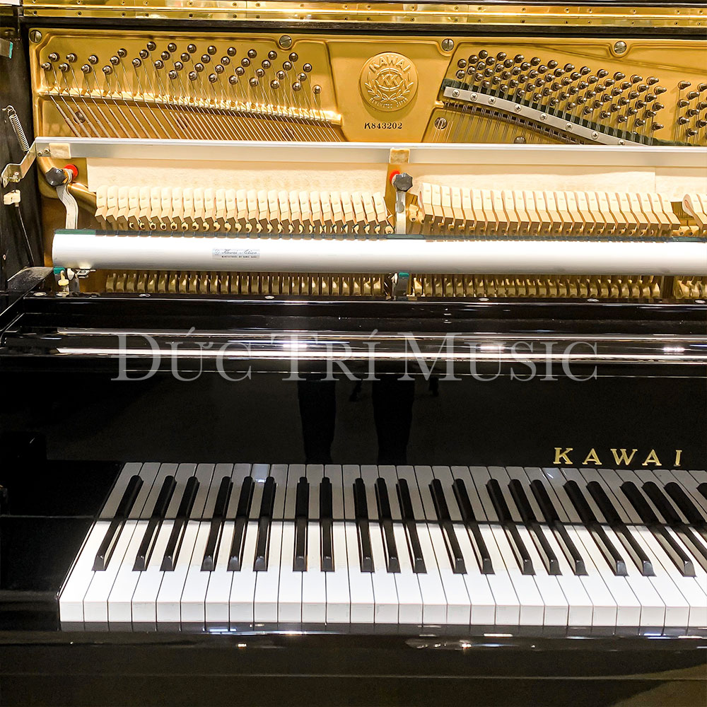 Kawai BL71 11 Số seri đàn piano kawai BL71