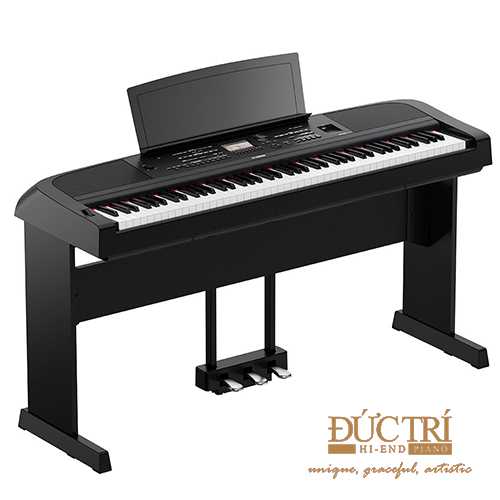 DGX-670B màu đen