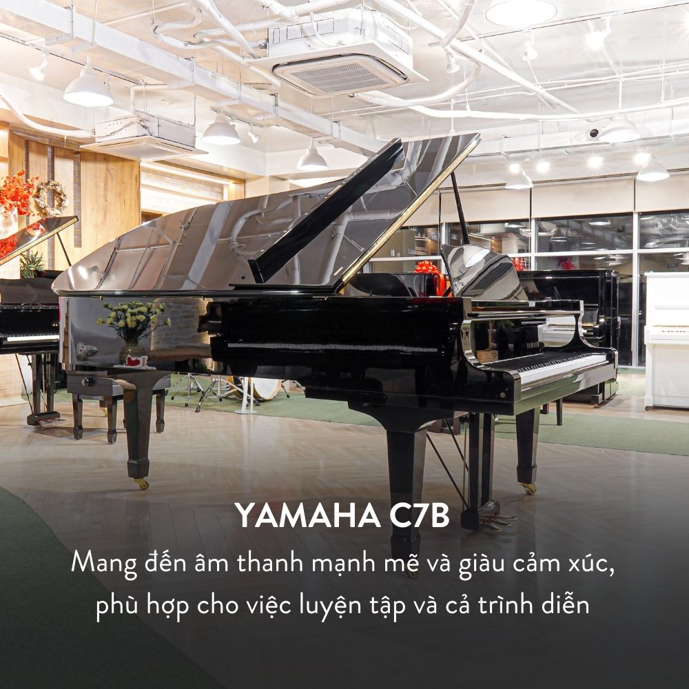 Grand Piano Yamaha C7B Cao Cấp tại Đức Trí Music