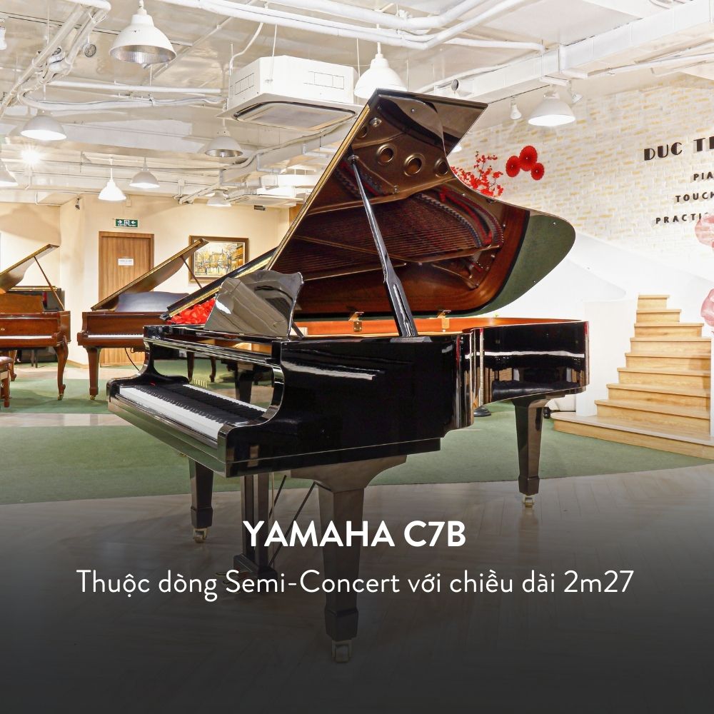 Grand Piano Yamaha C7B Cao Cấp tại Đức Trí Music
