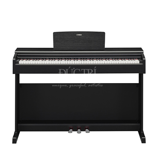 YDP-145B