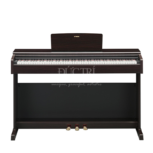 YDP-145R