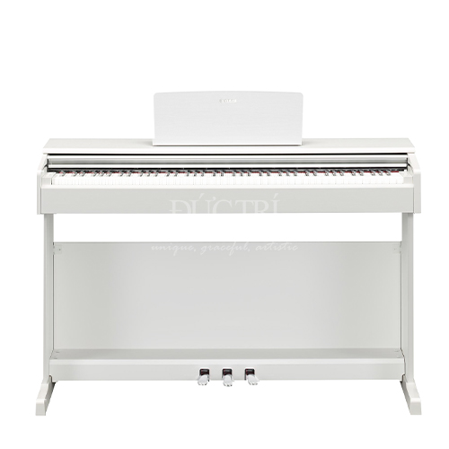 YDP-145WH