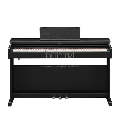 YDP-165B màu đen