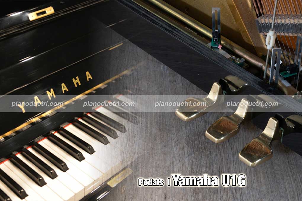 banner đàn piano Yamaha U1G