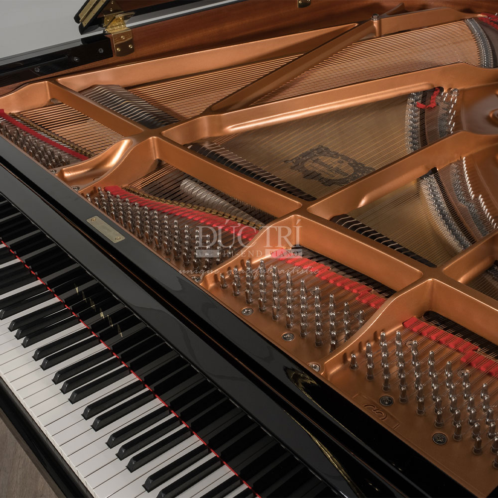 Chốt dữ dây Yamaha C5X