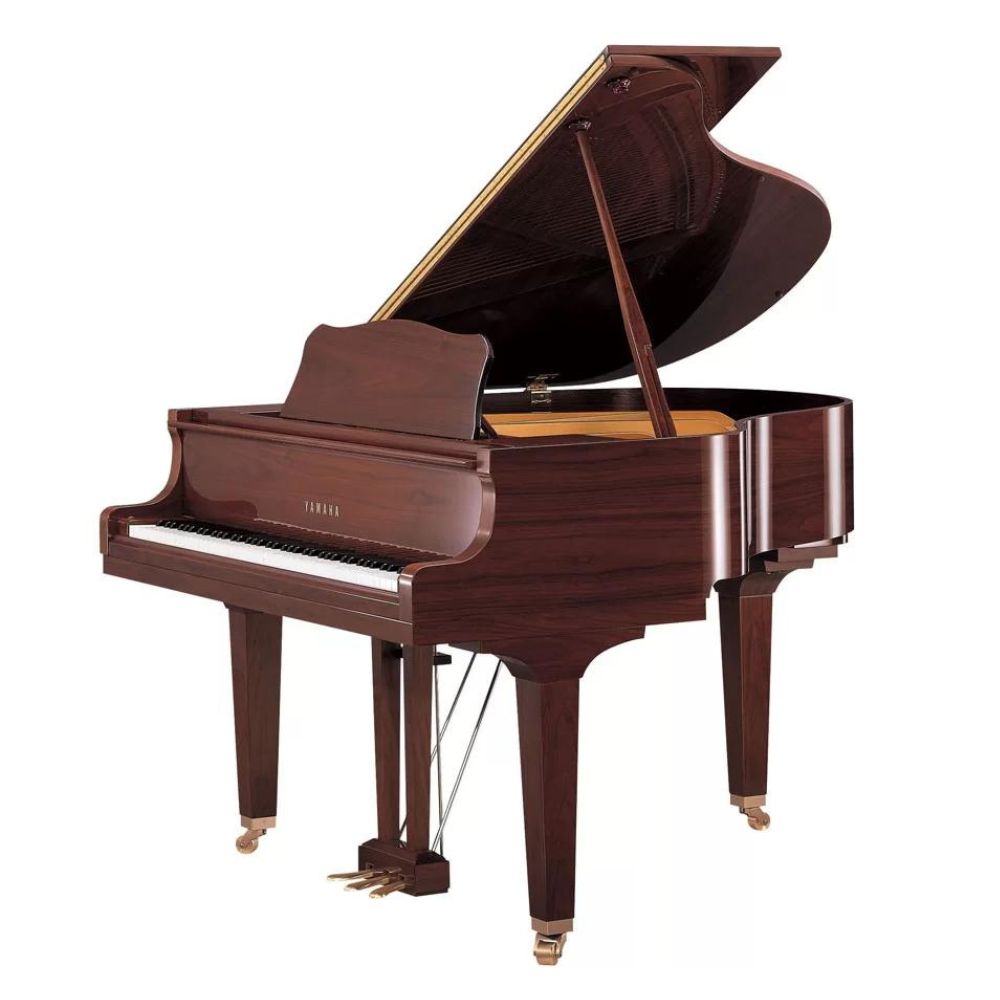 Yamaha DGC1 PM