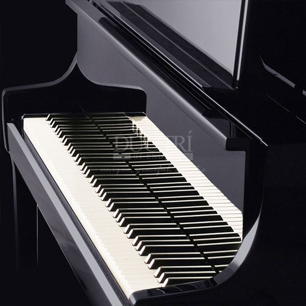 Bàn phím đàn piano kawai K800 cao cấp