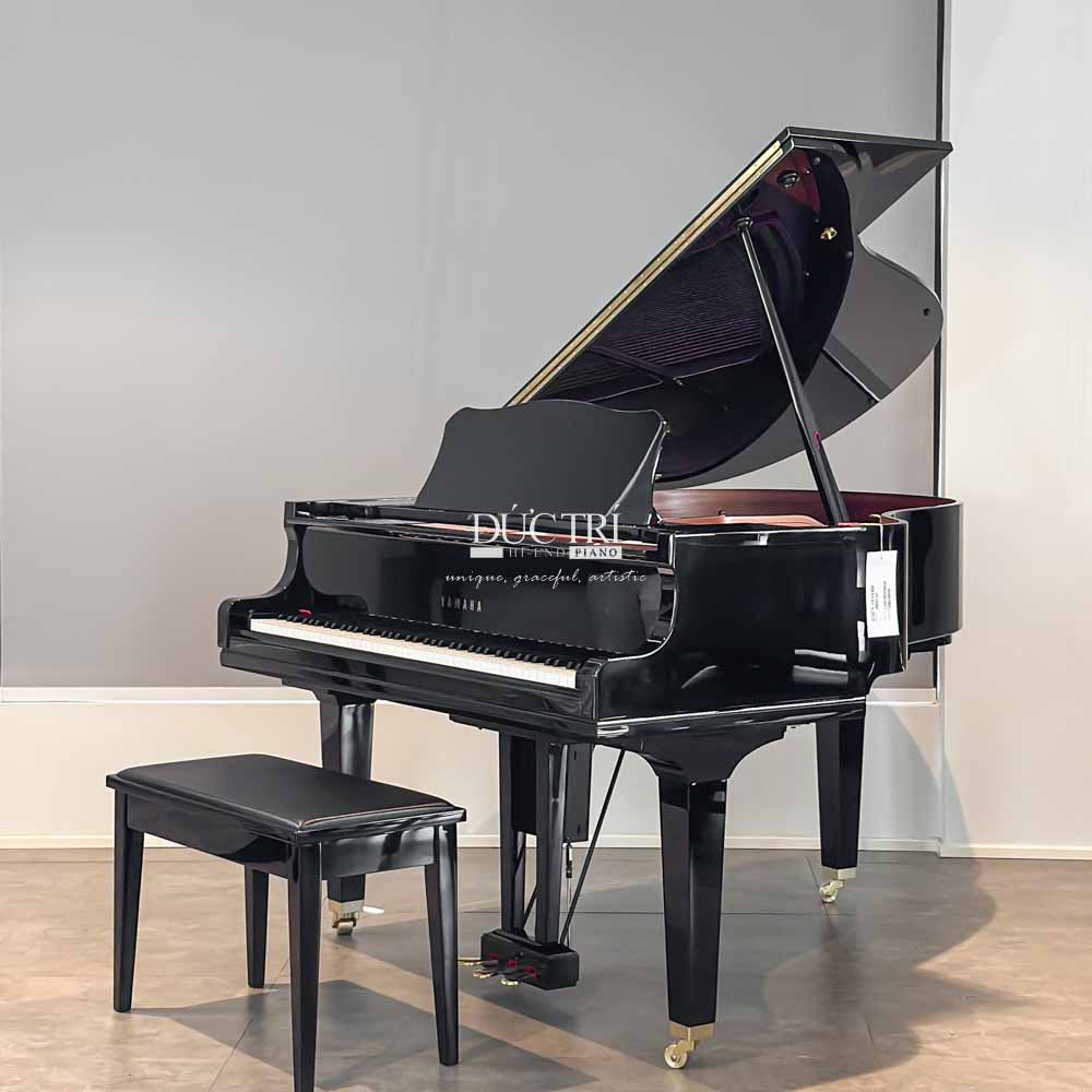 yamaha dgc1 enpro