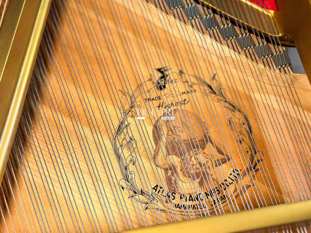 bảng âm đàn grand piano atlas special toshiko tại đức trí music