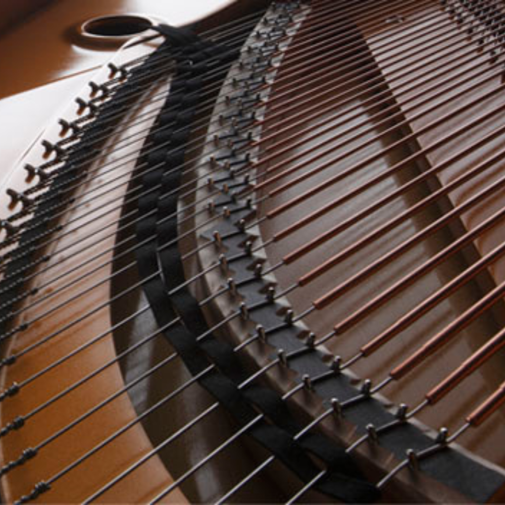 ngựa Kawai GX7