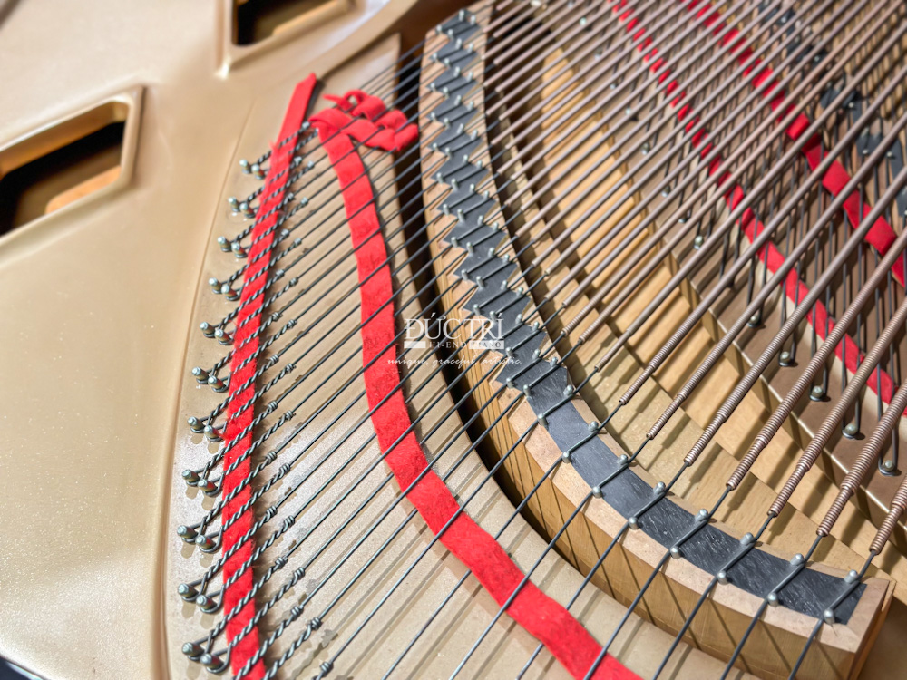 Grand Piano Boston GP193 Chính hãng tại Đức Trí Music