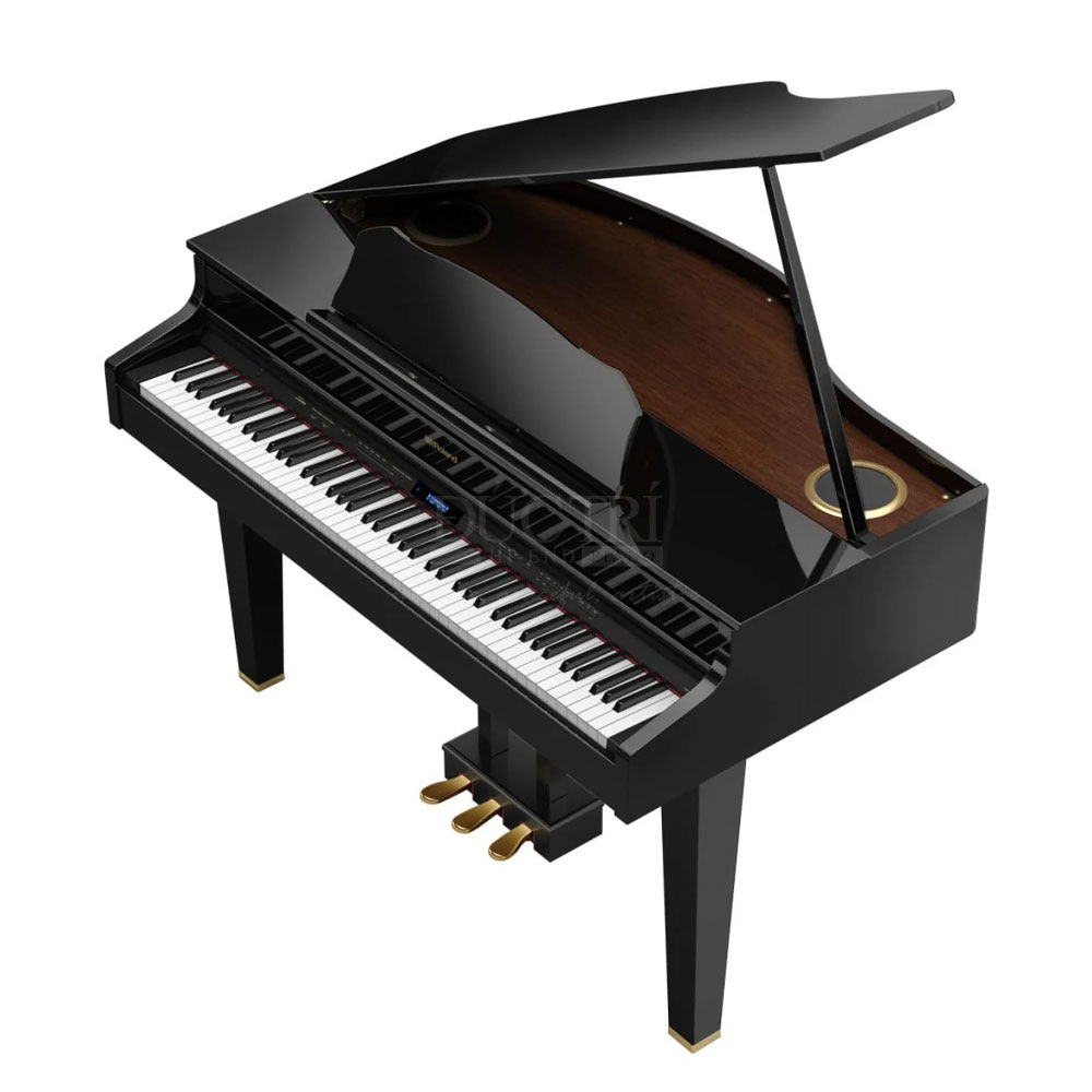 Roland GP607