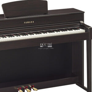 Digital Piano Yamaha CLP-535R tại Đức Trí Music