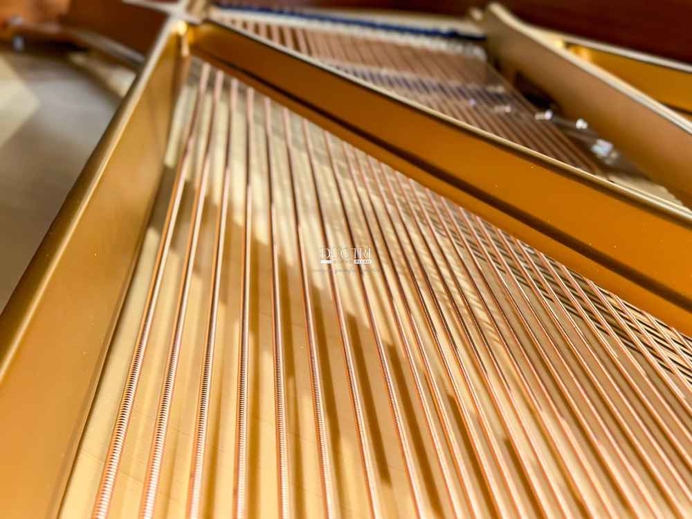 Đàn Grand Piano C.Bechstein A.228