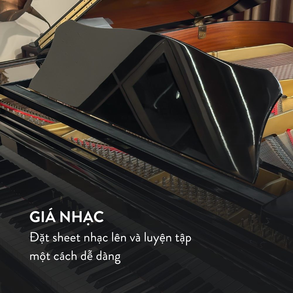 Đàn Grand Piano Yamaha G3A tại showroom Piano Đức Trí