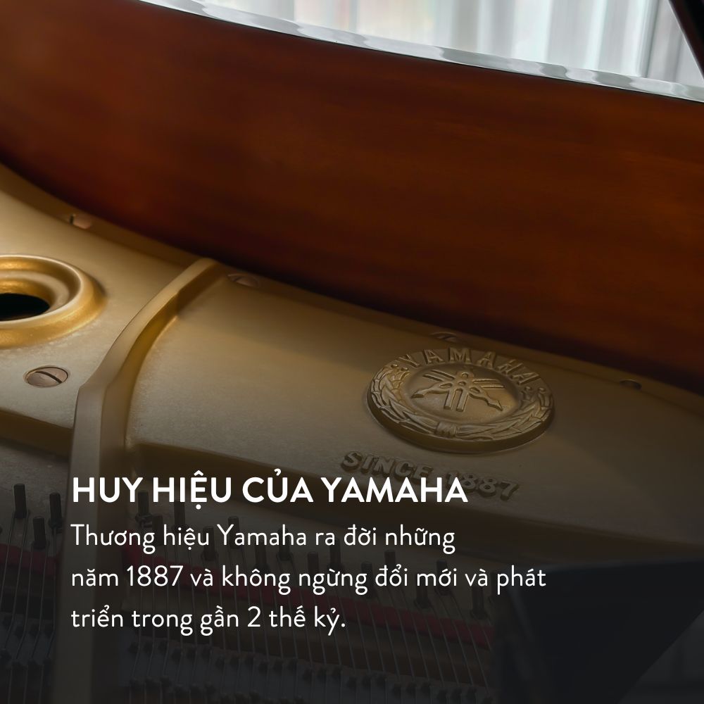 Đàn Grand Piano Yamaha G3A tại showroom Piano Đức Trí