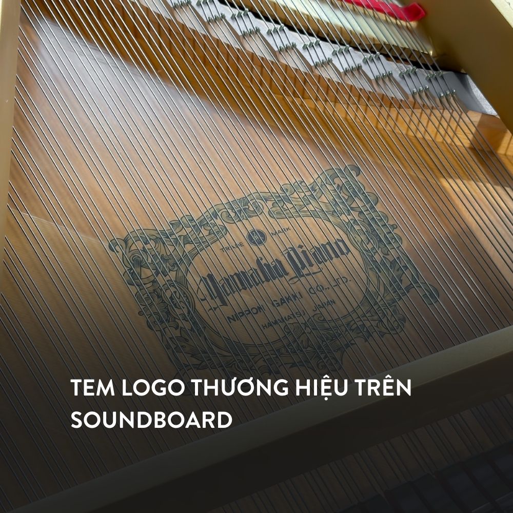 Đàn Grand Piano Yamaha G3A tại showroom Piano Đức Trí