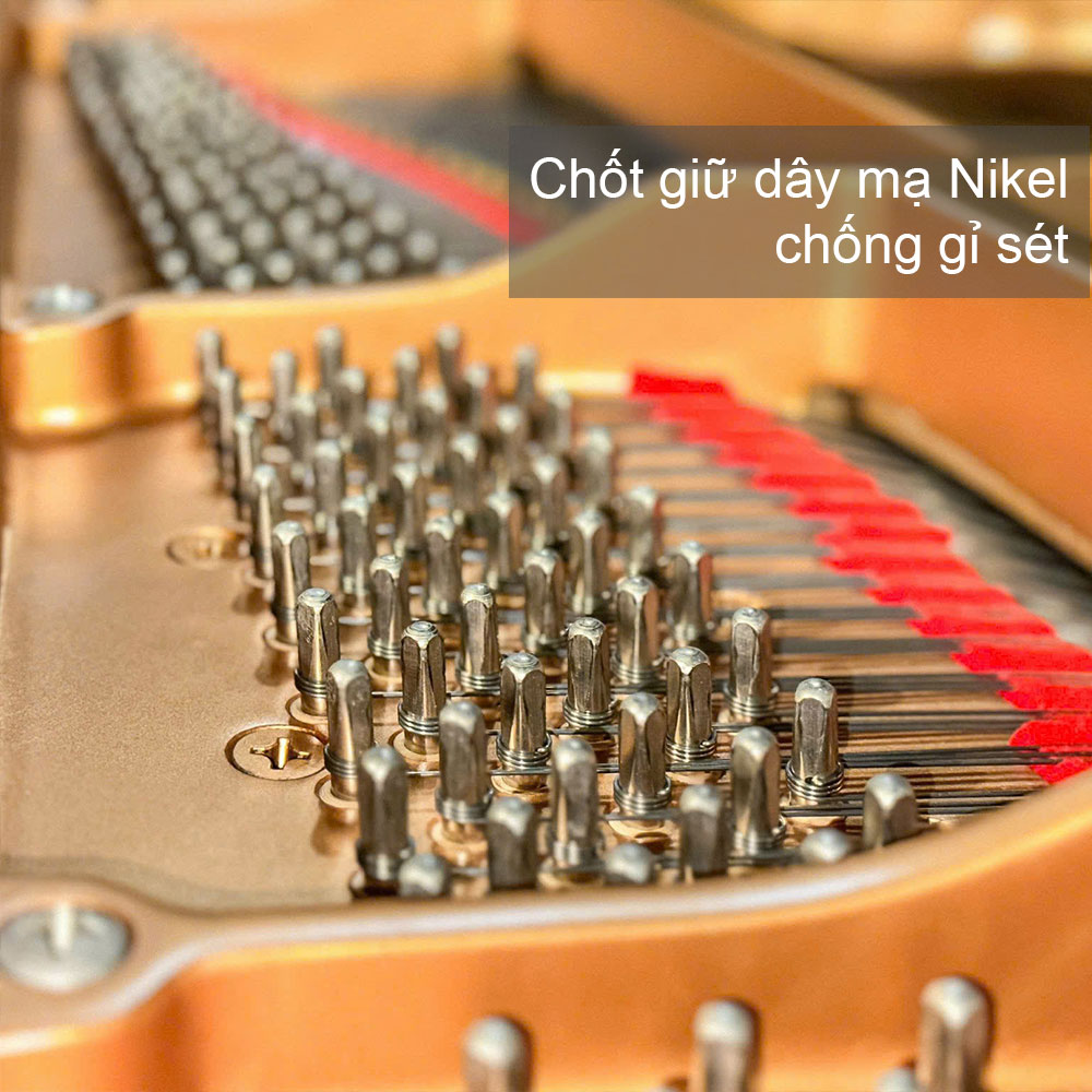 Chốt giữ dây mạ nikel của yamaha c3ae