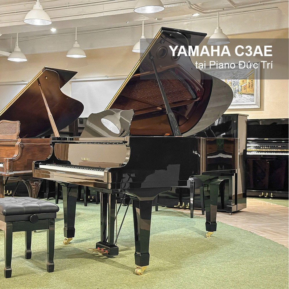 Đàn grand piano yamaha c3ae tại piano đức trí