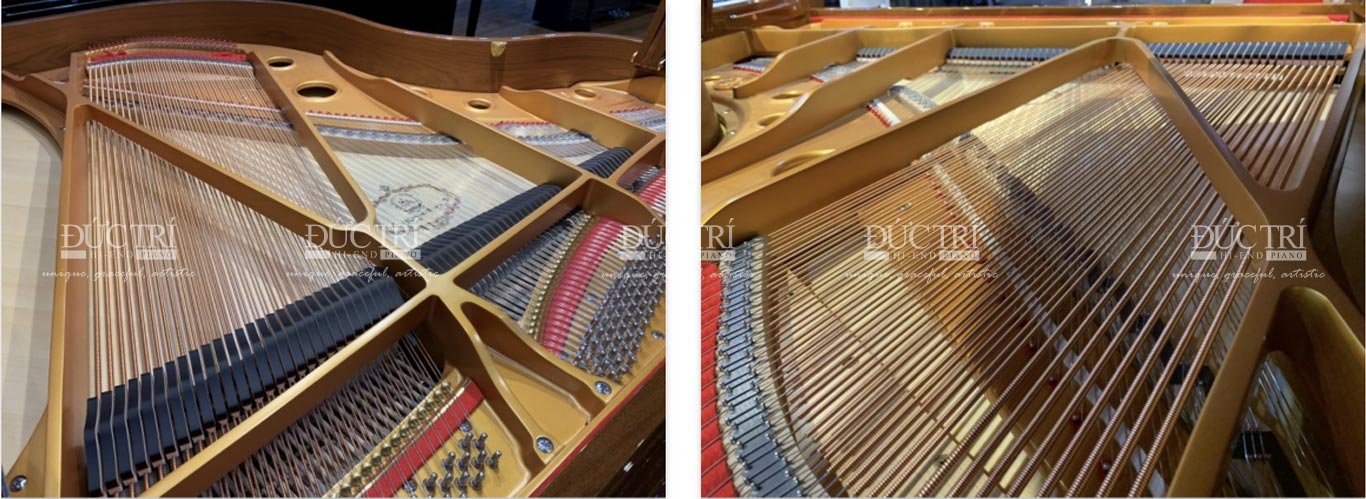 Kayserburg Crystal Piano 3 Dây đàn Kayserburg Crystal Piano sản xuất từ Đức